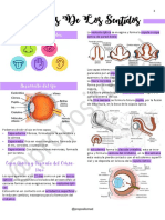 UNIDAD 13 - Órganos de Los Sentidos