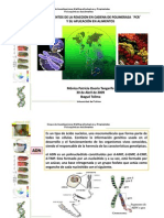 Fundamentos de PCR