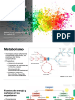 Bioenergética y Tipos de Reacciones Bioquímicas