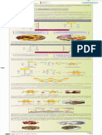 Biomoléculas Archivo