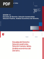 Sesión 14: Escuelas de Derecho: Solución Iusnaturalista. Solución Positiva. Análisis Económico Del Derecho