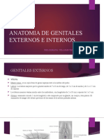 Anatomia de Genitales Externos e Internos