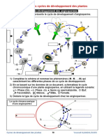 2les Cycles de Developpement Des Plantes Documents 1