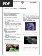 TEMA 2 Reino Animal para Tercer Grado de Secundaria