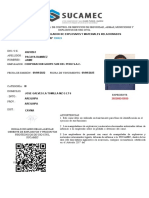 Anexo 01 - Carnet SUCAMEC PERSONAL AYO