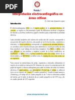 Interpretación Del Electrocardiograma en Áreas Criticas