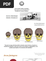 Resumen Unidad 2 (Crec y Des)