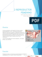 Aparato Reproductor Femenino