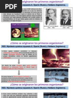 Teoria Endosimbiotica