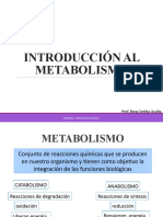 Introducción Al Metabolismo 2023