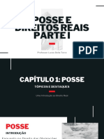 Direitos Reais - Capitulo I - DA POSSE