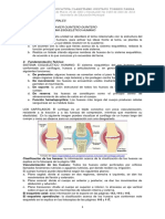 Guía Sistema Esquelético Humano