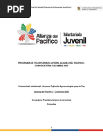 Proyecto Voluntariado Juvenil Colombia 2023