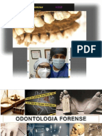 Odontología Forense