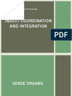 INSECT Coordination and Integration