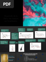 Desarrollo de La Piel y Sus Anexos en