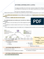 Leucemia Linfoblástica Aguda