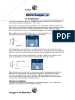 Neuro Completo