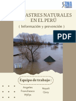 Desastres Naturales