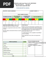 Ficha Descriptiva Grupal 3-6