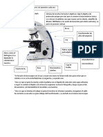 Repaso Practicas Botanica