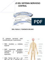 10 Segundo SISTEMA NERVIOSO 1