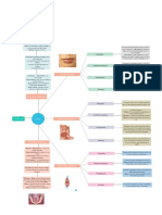 Mapa Conceptual 11