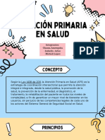 Atencion Primaria en Salud