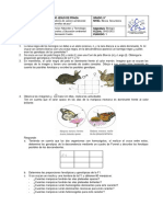 Taller Leyes de Mendel