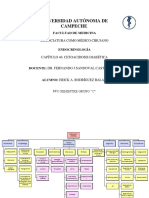 Tarea Capitulo 46