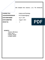 Anatomy and Physio Activity No.2... Final Paper