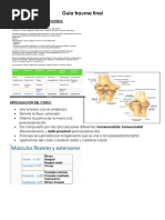 Guía Trauma Final