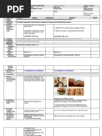 BPP Lesson 2 DLL