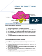 IPA Tema 1