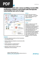 Integrative Multi-Omic Cancer Profiling Reveals DNA Methylation Patterns Associated With Therapeutic Vulnerability and Cell-Of-Origin