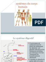 Anatomie