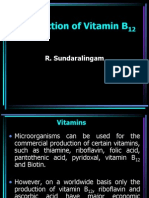 Production of Vitamin B12