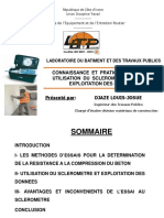 Sclero DIgitalppt