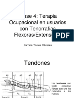 Clase 4 Tenorrafias Flexoras y Extensoras