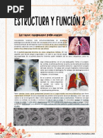 Estructura y Funcion Part 2