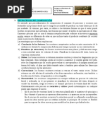 6°ego-Estrategias de Composición