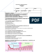 Ciencias 7 Fila A