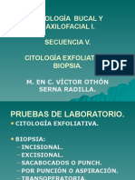 Patologia Bucal I Unidad V Pruebas de Laboratorio