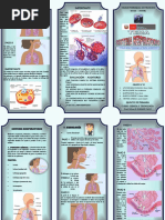 Triptico Sistema Respiratorio