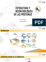 Estructura y Función Biológica de Las Proteínas