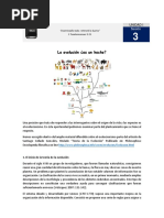 FC IV Sesión 3 - La Evolución ¿Es Un Hecho