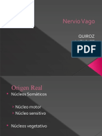 Nervio Vago