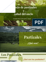 Pastizales