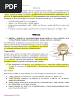 Guia 1 Vertebras y Torax