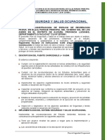 15.3 Plan de Seguridad y Salud Ocupacional